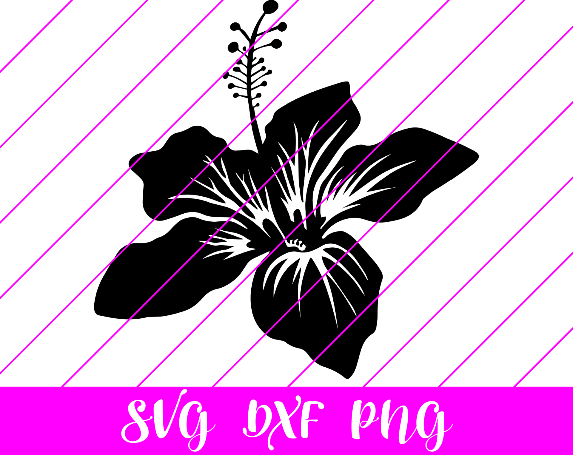 hawaiian flower SVG