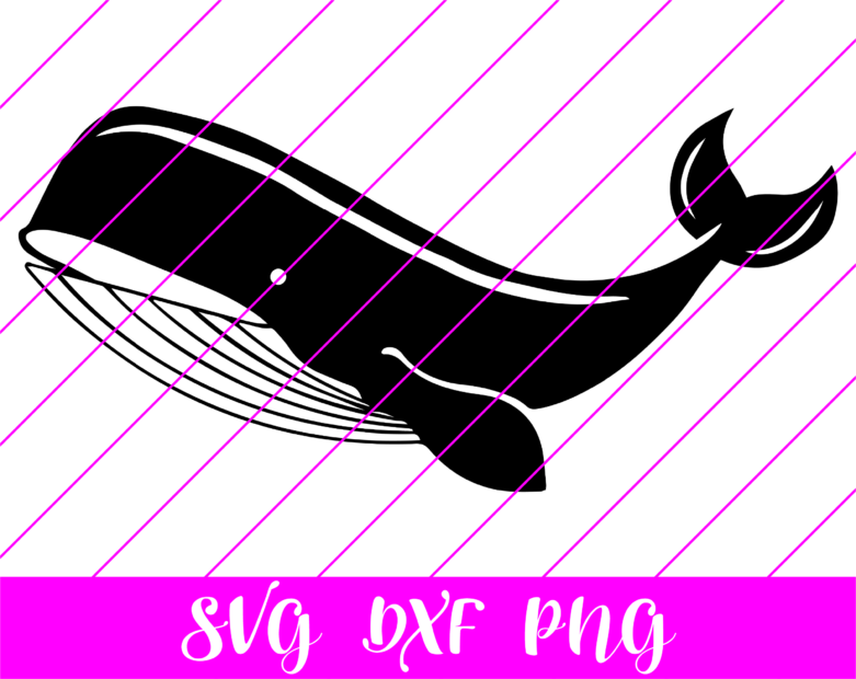 Download Whale Svg Free Whale Svg Download Svg Art